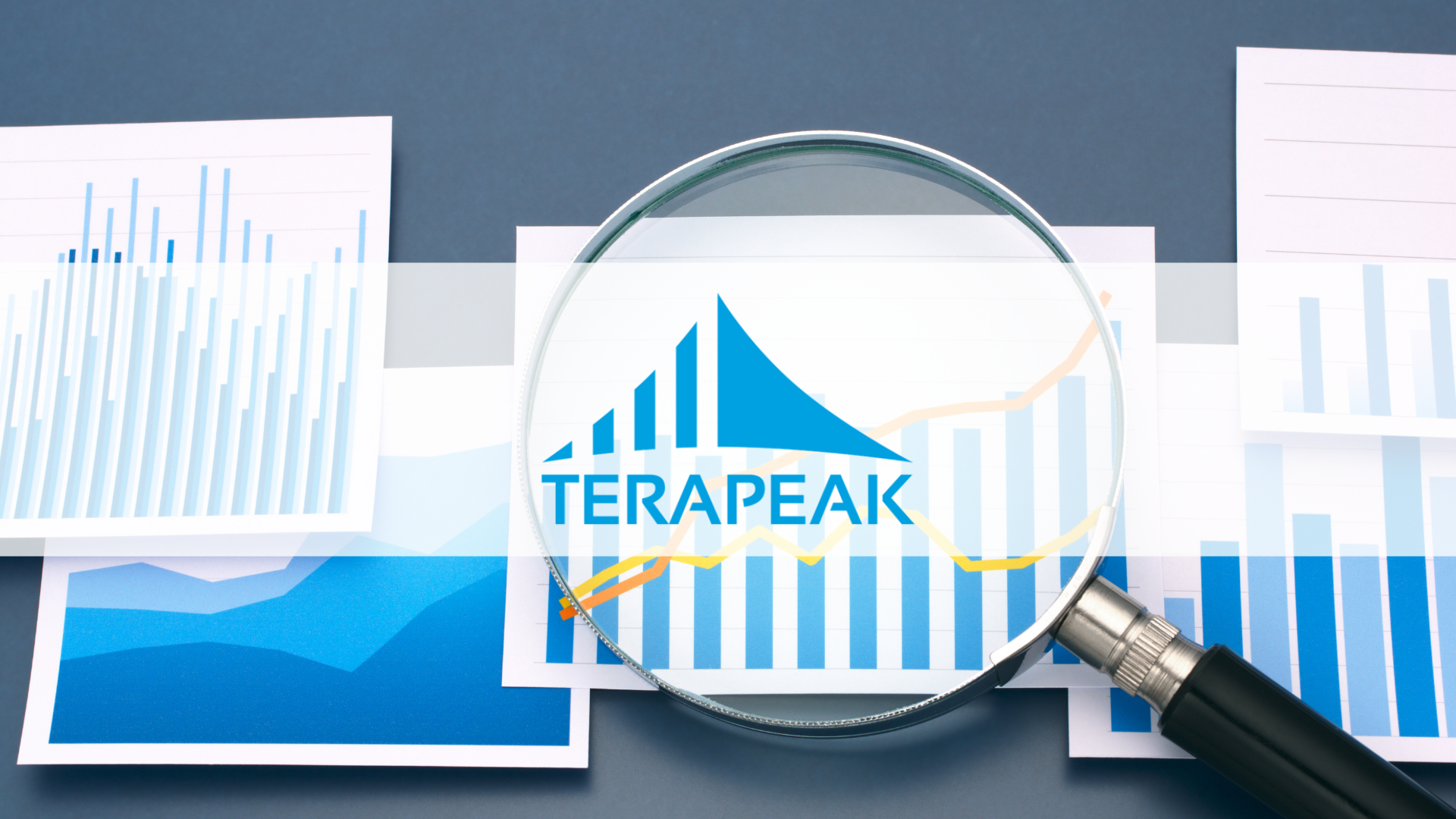 Logo di Terapeak nella lente d'ingrandimento sopra grafici a barre e linee di tendenza – analisi della domanda su eBay