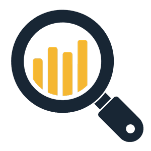 Fase 2. Audit e progettazione dei processi