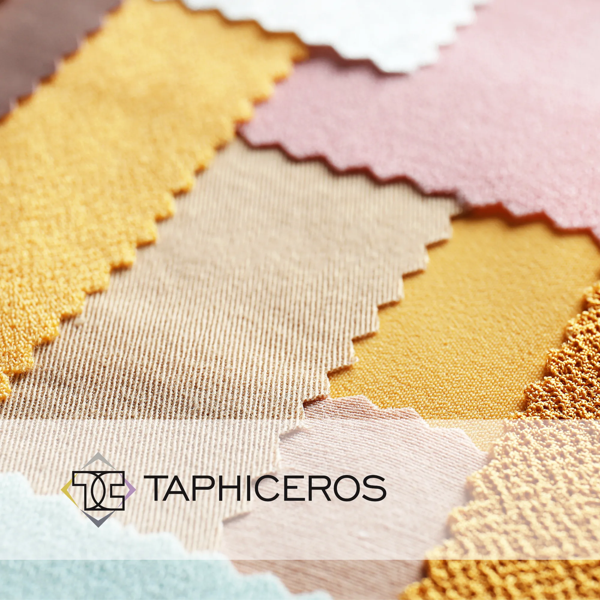 Taphiceros | Caso di Studio Aumenta le tue vendite
