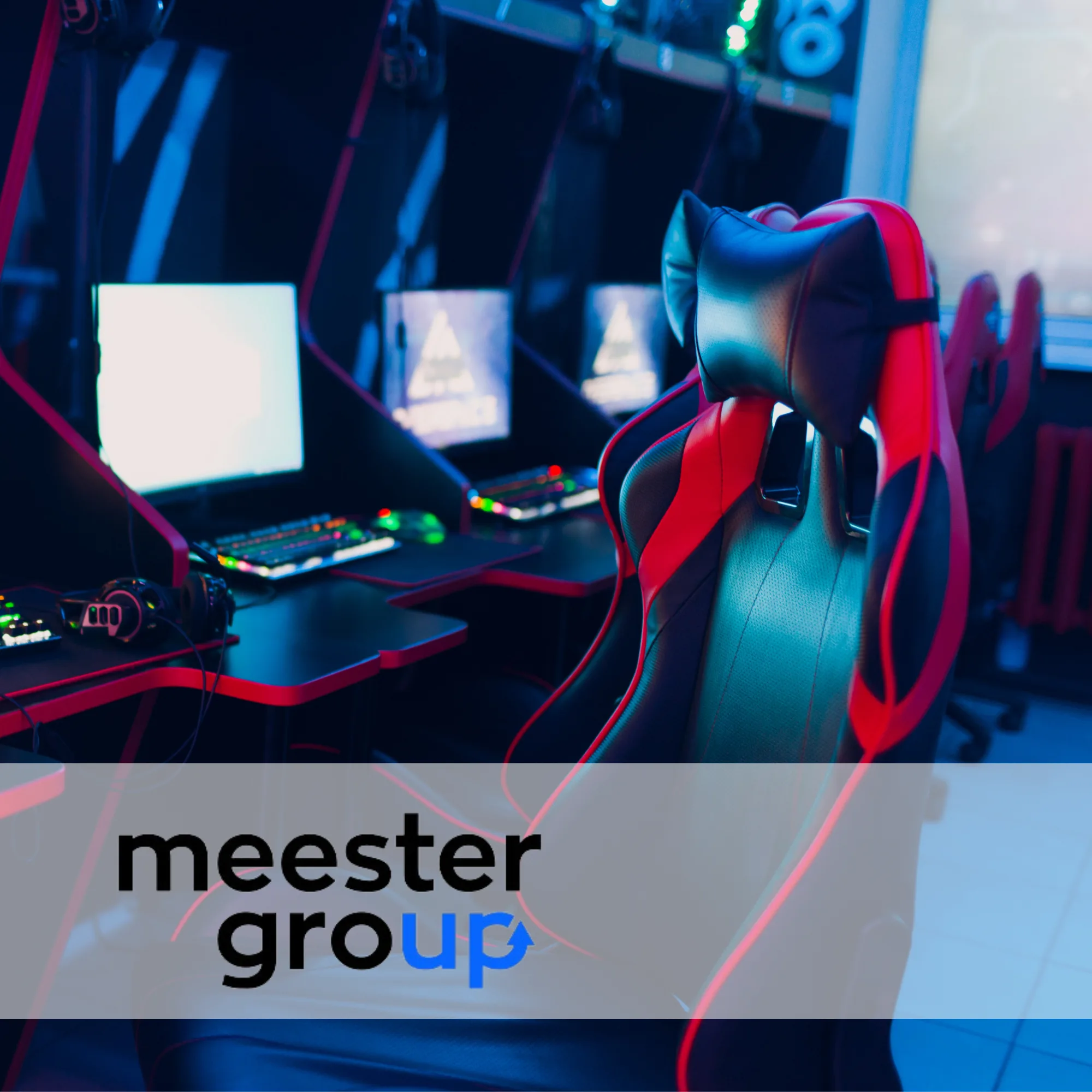 Meester Group | Case Study Raise Your Sales